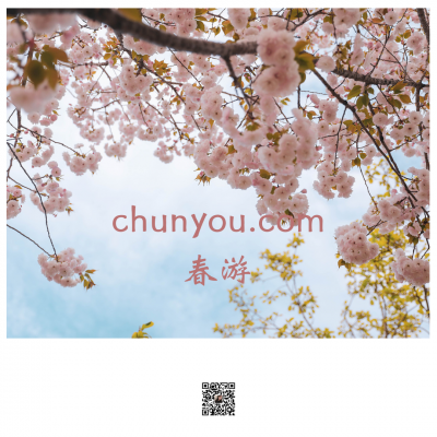 chunyou.com